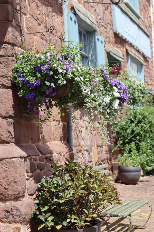 The Lamb Inn Crediton Bagian luar foto